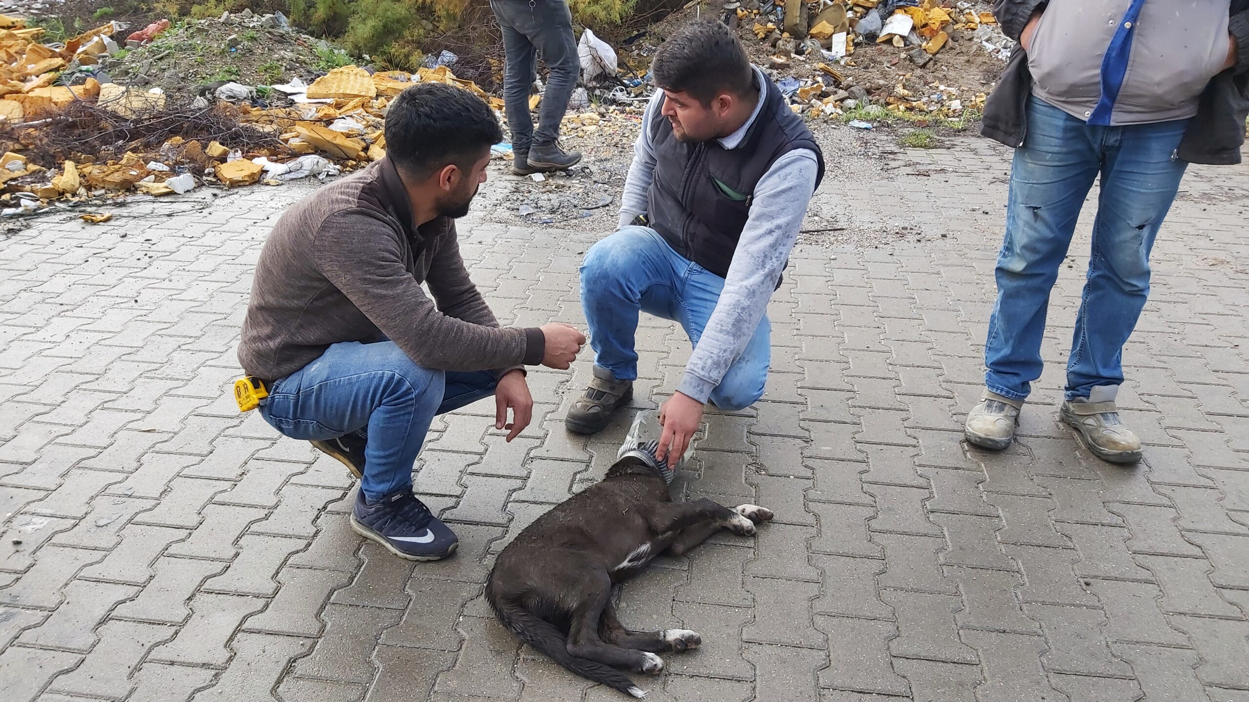 Kafası Bidona Sıkışan Köpeği Esnaflar Kurtardı