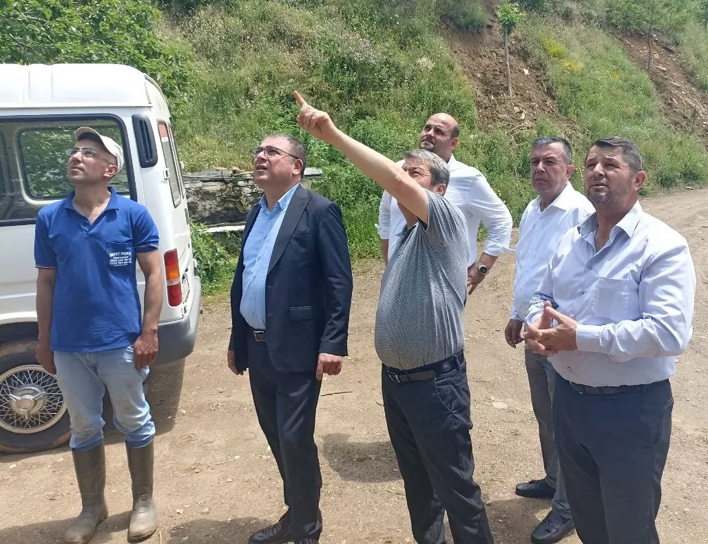 CHP Aydın Milletvekili Evrim Karakoz; Zeytin Üreticisinin Sorunlarını Meclis Gündemine Taşıdı. 