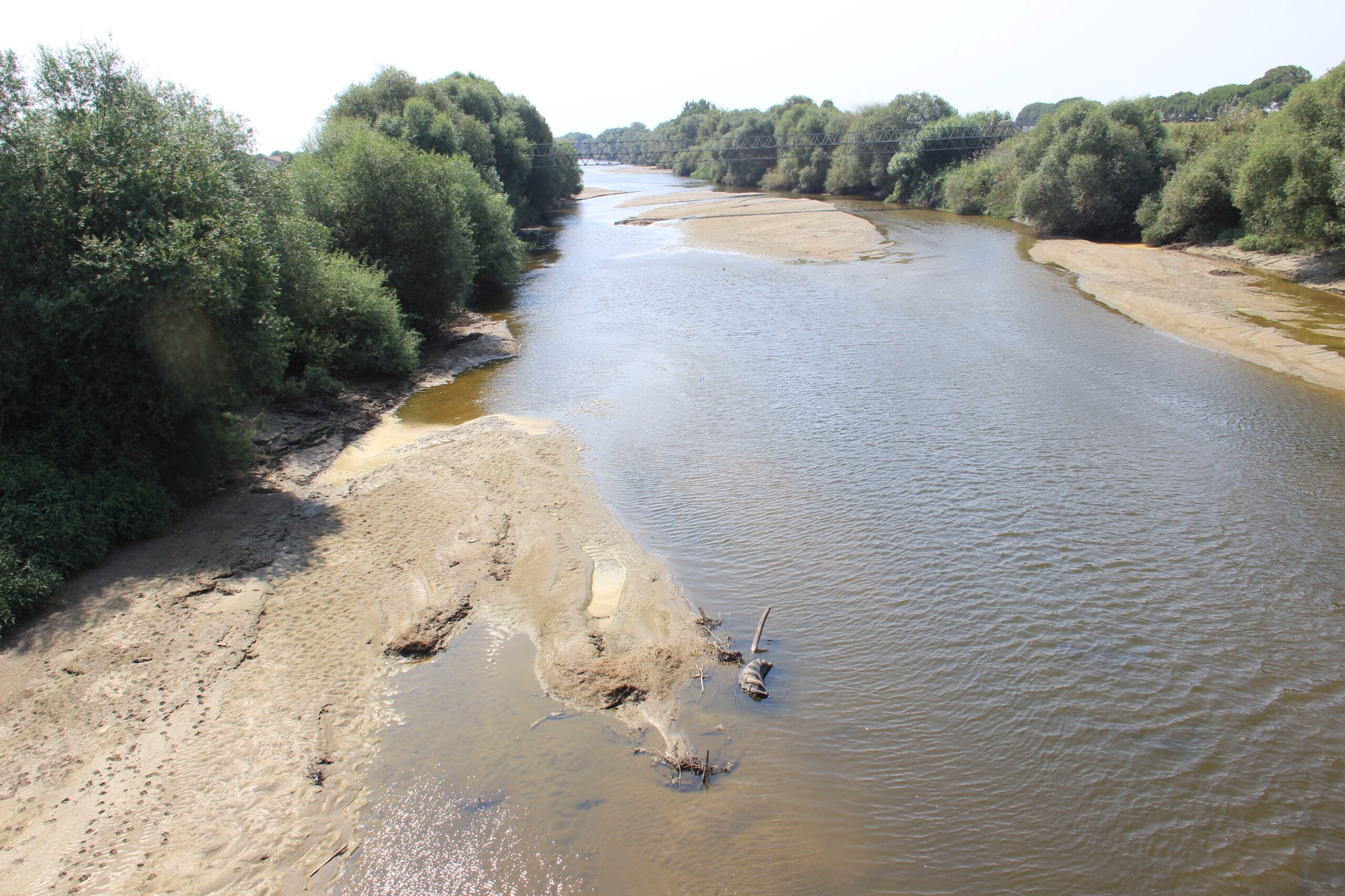 Büyük Menderes Nehri kurudu, üreticiler endişeli